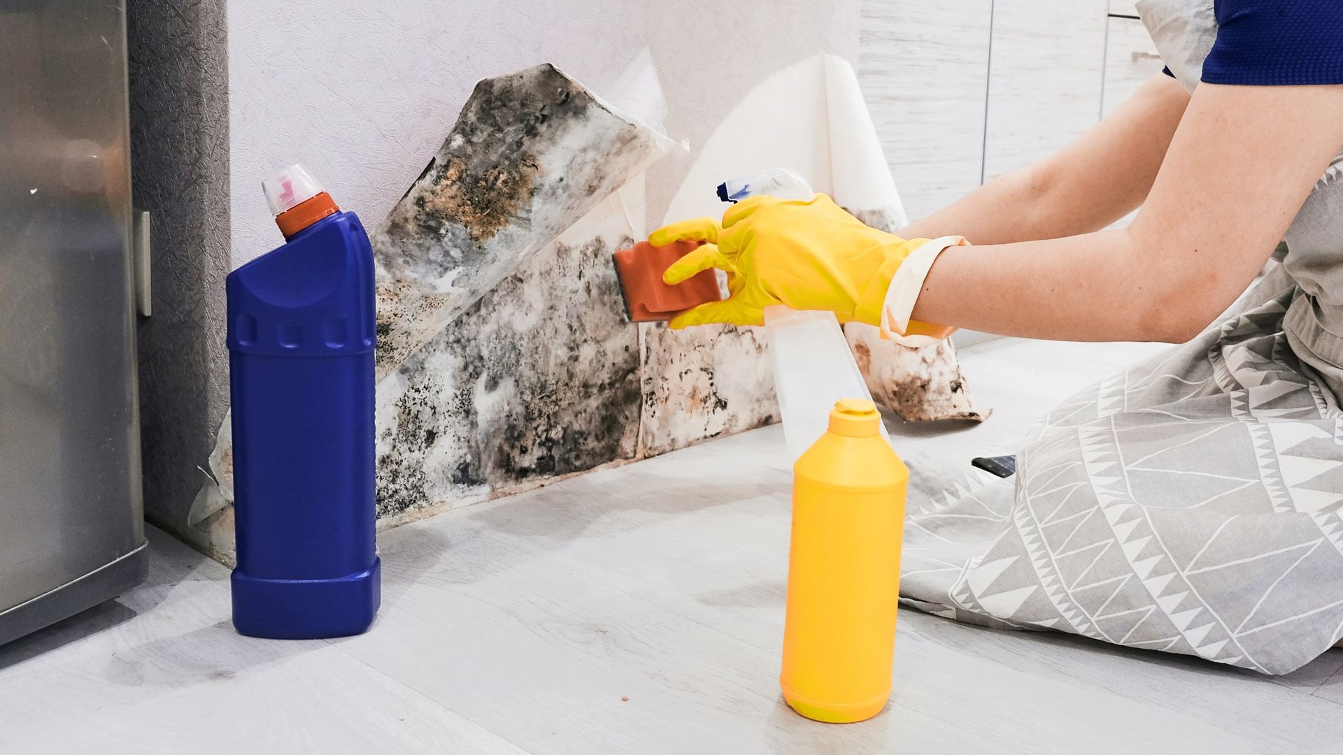 The Truth About Toxins from Mold and Mildew in Your Home